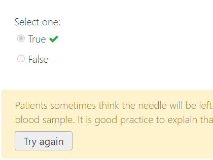 Image showing that the "Try Again" button is  showing even though the learner answered correctly