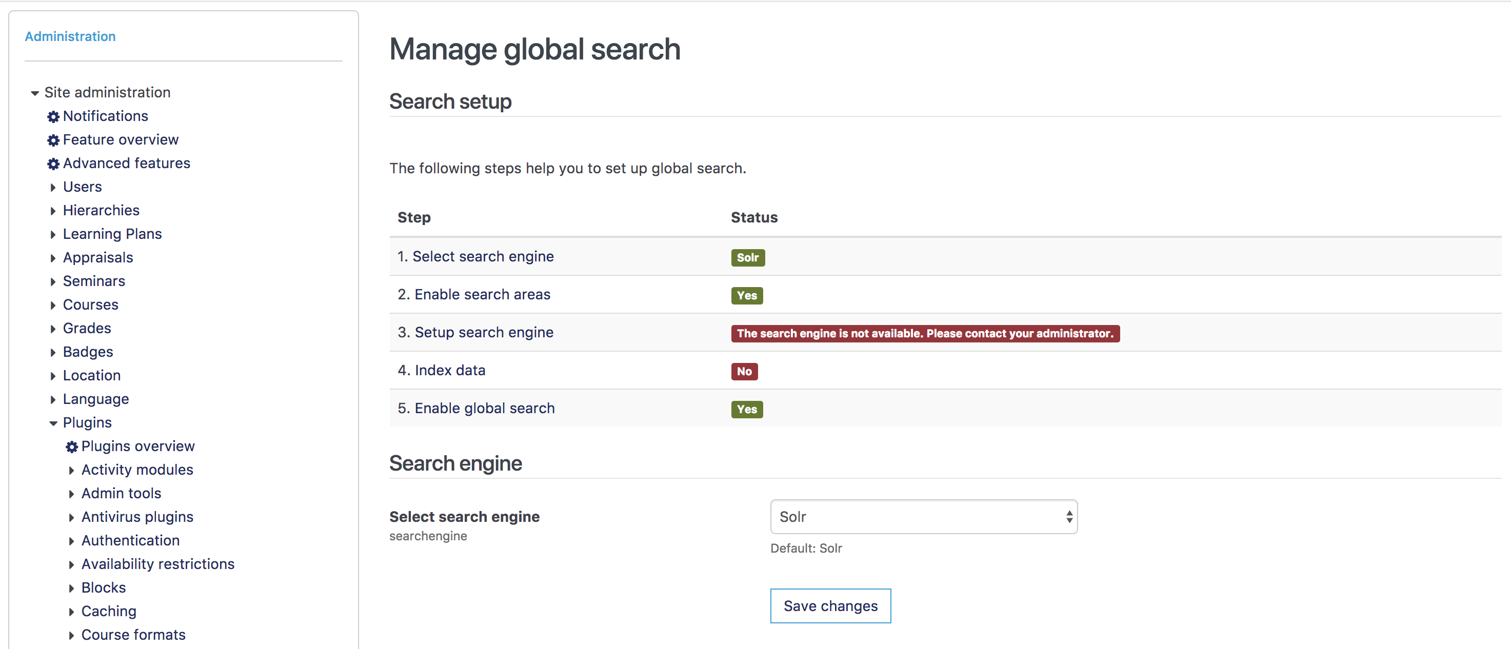 manage global search